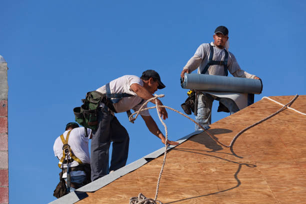 Best Flat Roof Repair Services  in Winnebago, IL