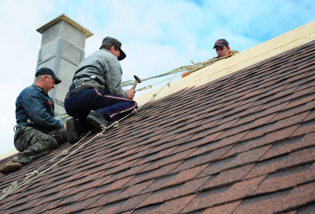 Best Best Roofing Contractors  in Winnebago, IL
